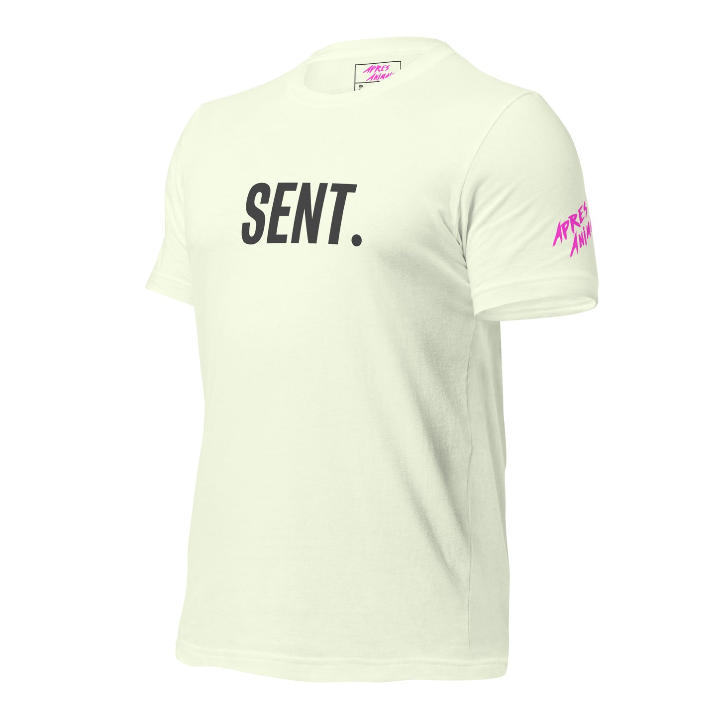 SENT T-Shirt