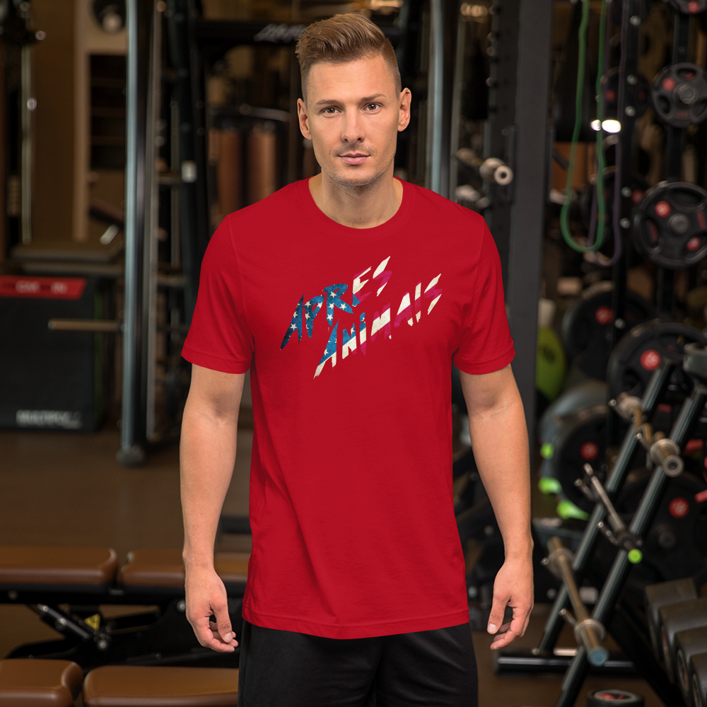 America T-Shirt